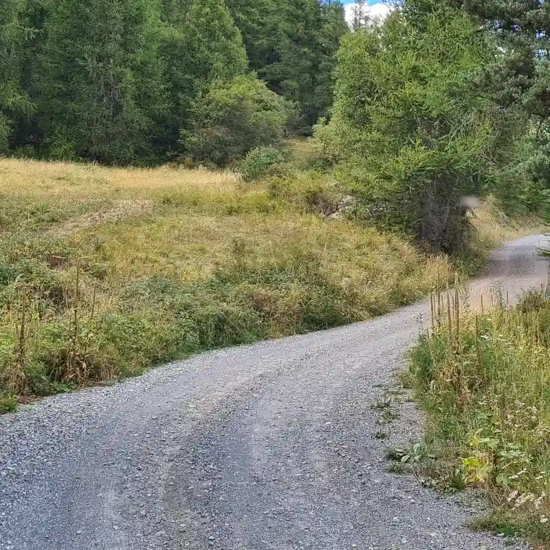 New gravel driveway